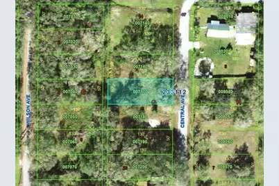 0 Central Avenue, Mulberry, FL 33860 - Photo 6