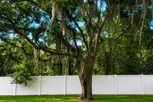 9917 Nicoma Ln, Orlando, FL 32817 - Photo 34