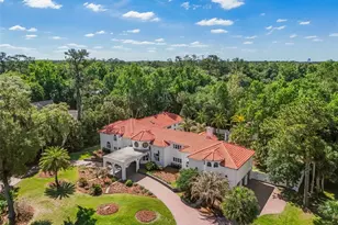 2113 Silver Leaf Ct, Longwood, FL 32779 - Photo 6