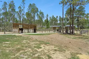 20701 County Rd 44A, Eustis, FL 32736 - Photo 26