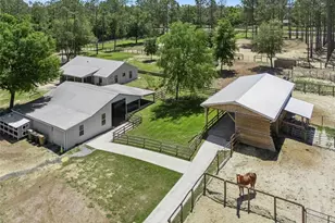 20701 County Rd 44A, Eustis, FL 32736 - Photo 10