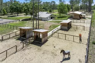 20701 County Rd 44A, Eustis, FL 32736 - Photo 8