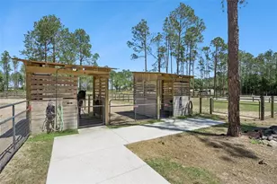 20701 County Rd 44A, Eustis, FL 32736 - Photo 26