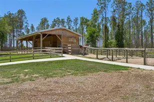20701 County Rd 44A, Eustis, FL 32736 - Photo 18
