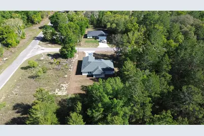 102 Malauka Trail, Ocklawaha, FL 32179 - Photo 4