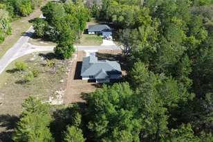102 Malauka Trail, Ocklawaha, FL 32179 - Photo 4