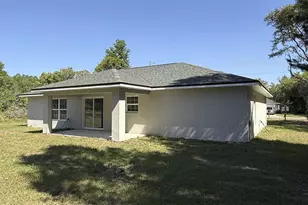 102 Malauka Trail, Ocklawaha, FL 32179 - Photo 46