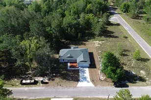 102 Malauka Trail, Ocklawaha, FL 32179 - Photo 6