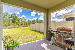 1419 Fox Squirrel Dr, Davenport, FL 33897 - Photo 18