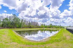 1419 Fox Squirrel Dr, Davenport, FL 33897 - Photo 20