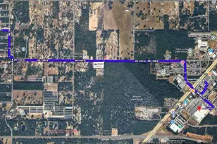 11081 SW 107th Pl, Ocala, FL 34481 - Photo 24