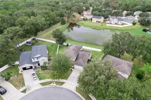 287 Fallen Oak Ct, Eustis, FL 32736 - Photo 42