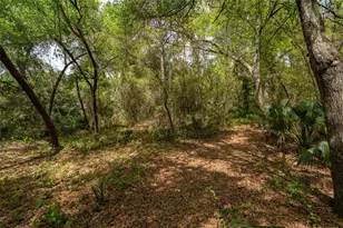 3 Old Post Rd, Longwood, FL 32779 - Photo 52