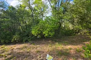 20940 SE 141st Ln, Umatilla, FL 32784 - Photo 36