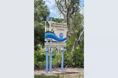 8 Flatfish Drive, Kissimmee, FL 34759 - Photo 24