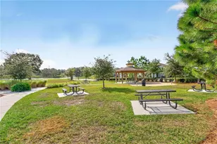 2017 Boss Hewett St, Oakland, FL 34787 - Photo 44