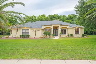 744 Barrows Dairy Rd, Port Orange, FL 32127 - Photo 92