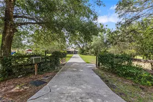 17877 Phil C Peters Rd, Winter Garden, FL 34787 - Photo 4
