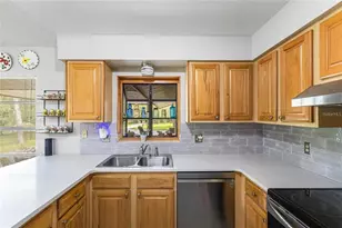 17877 Phil C Peters Rd, Winter Garden, FL 34787 - Photo 10