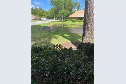 3134 Windmoor Drive N, Palm Harbor, FL 34685 - Photo 34
