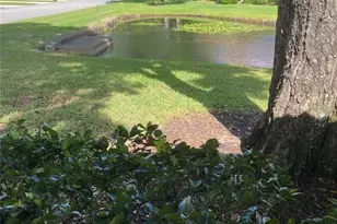 3134 Windmoor Dr N, Palm Harbor, FL 34685 - Photo 34