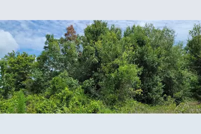 Nw 268th Street, Okeechobee, FL 34972 - Photo 24