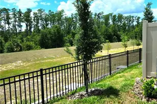 16305 Bird of Paradise Ave, Clermont, FL 34714 - Photo 36