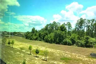 16305 Bird of Paradise Ave, Clermont, FL 34714 - Photo 32