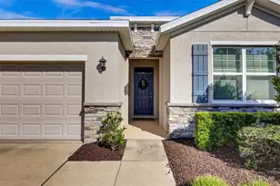 11925 Cross Vine Dr, Riverview, FL 33579 - Photo 2