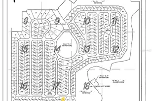 2330 Limewood Ave, Clermont, FL 34714 - Photo 22
