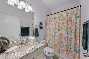 31936 Geoff Wy, Sorrento, FL 32776 - Photo 24