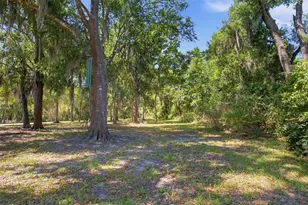 4745 Patagonia Pl, Land O Lakes, FL 34638 - Photo 46