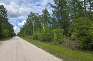 1747 Candleberry St, Bunnell, FL 32110 - Photo 1
