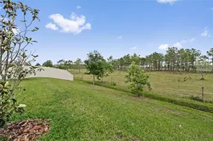 799 Hitch Loop, Saint Cloud, FL 34772 - Photo 32