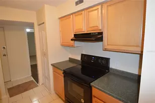 7509 Presley Pl, Tampa, FL 33617 - Photo 4
