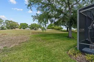 24357 Amberleaf Ct, Leesburg, FL 34748 - Photo 32