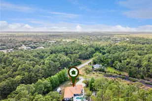 225 Limpkin Ln, Frostproof, FL 33843 - Photo 46