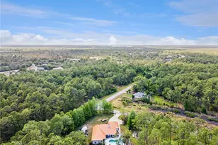 225 Limpkin Ln, Frostproof, FL 33843 - Photo 44