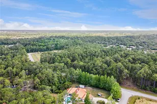 225 Limpkin Ln, Frostproof, FL 33843 - Photo 48