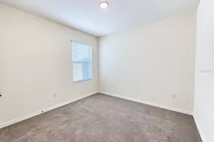 17043 Oval Rum Dr, Wimauma, FL 33598 - Photo 16