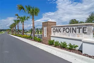 3583 Wye Oak Dr, Apopka, FL 32703 - Photo 30