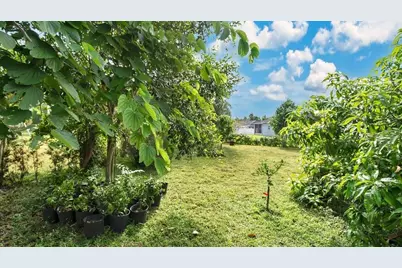 5203 Jasmine Trace Lane, Kissimmee, FL 34758 - Photo 26