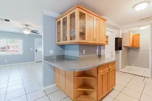 2009 Peppertree Ct, Oldsmar, FL 34677 - Photo 42