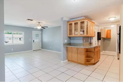 2009 Peppertree Court, Oldsmar, FL 34677 - Photo 50