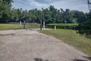 56508 Blue Creek Rd, Astor, FL 32102 - Photo 10