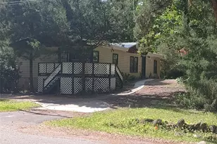 56508 Blue Creek Rd, Astor, FL 32102 - Photo 6