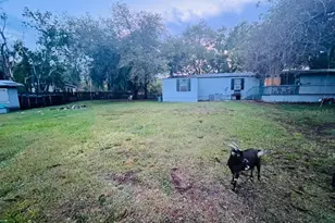 3225 Packard Ave, Saint Cloud, FL 34772 - Photo 4