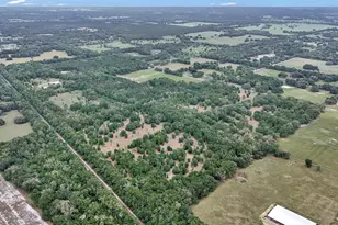 650 NE 200th Ave, Williston, FL 32696 - Photo 2