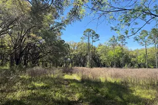 650 NE 200th Ave, Williston, FL 32696 - Photo 24