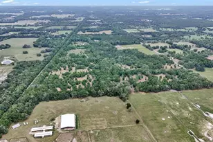 650 NE 200th Ave, Williston, FL 32696 - Photo 4